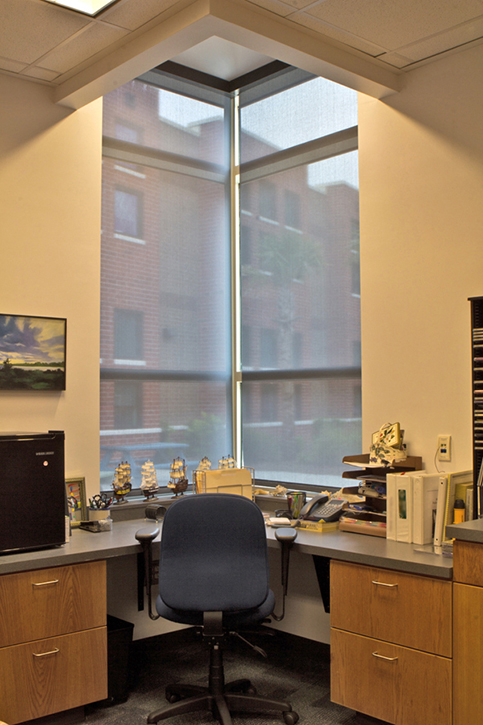 Window curtain