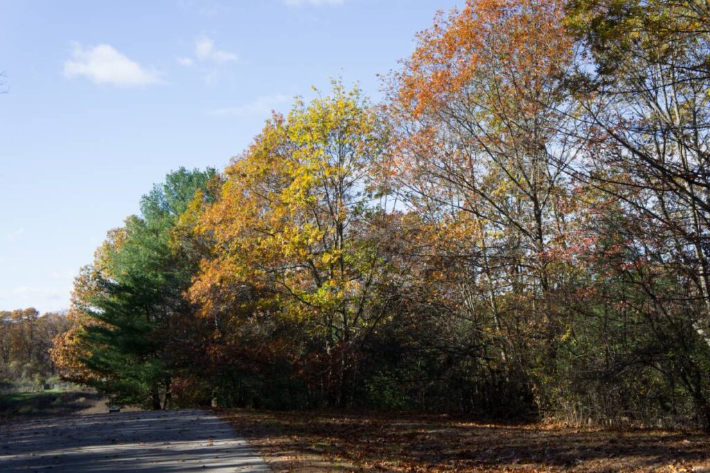 Nahanton Park near Newton, Massachusetts (MA)
