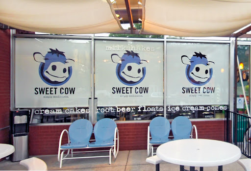 Printed Roller Window Shade