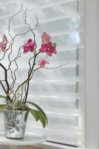 Cordless Blinds