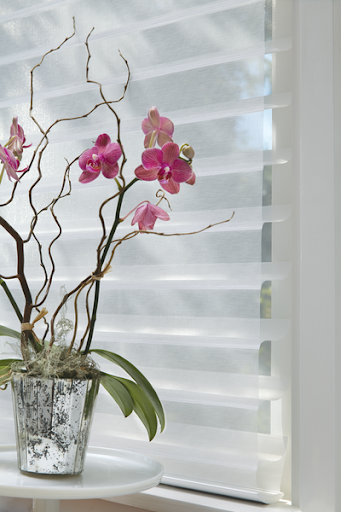 Alustra Silhouette Window Shadings